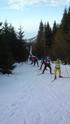 Krkonošská 70 2015
