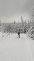 Krkonošská 70 2016