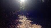 Podzimní Trutnov Trails 2019